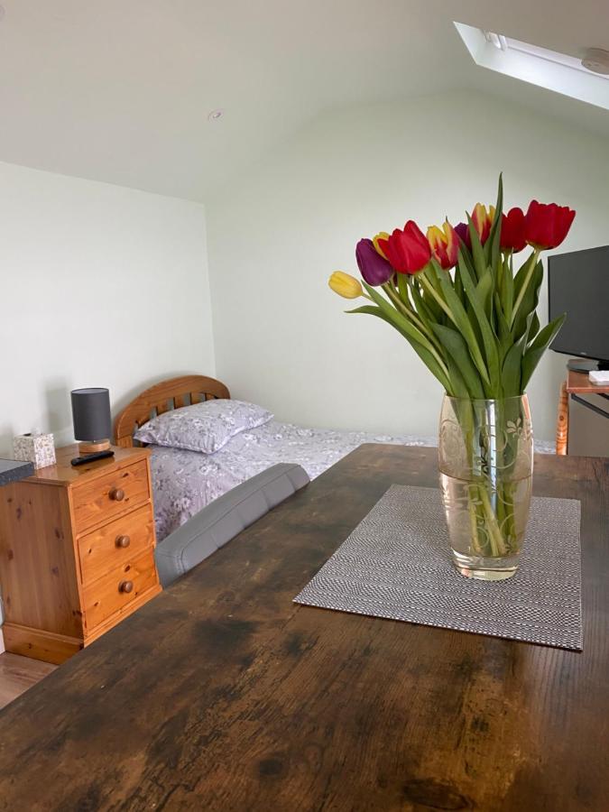 Cosy 1 Bed Garden Annexe Appartement Colchester Buitenkant foto